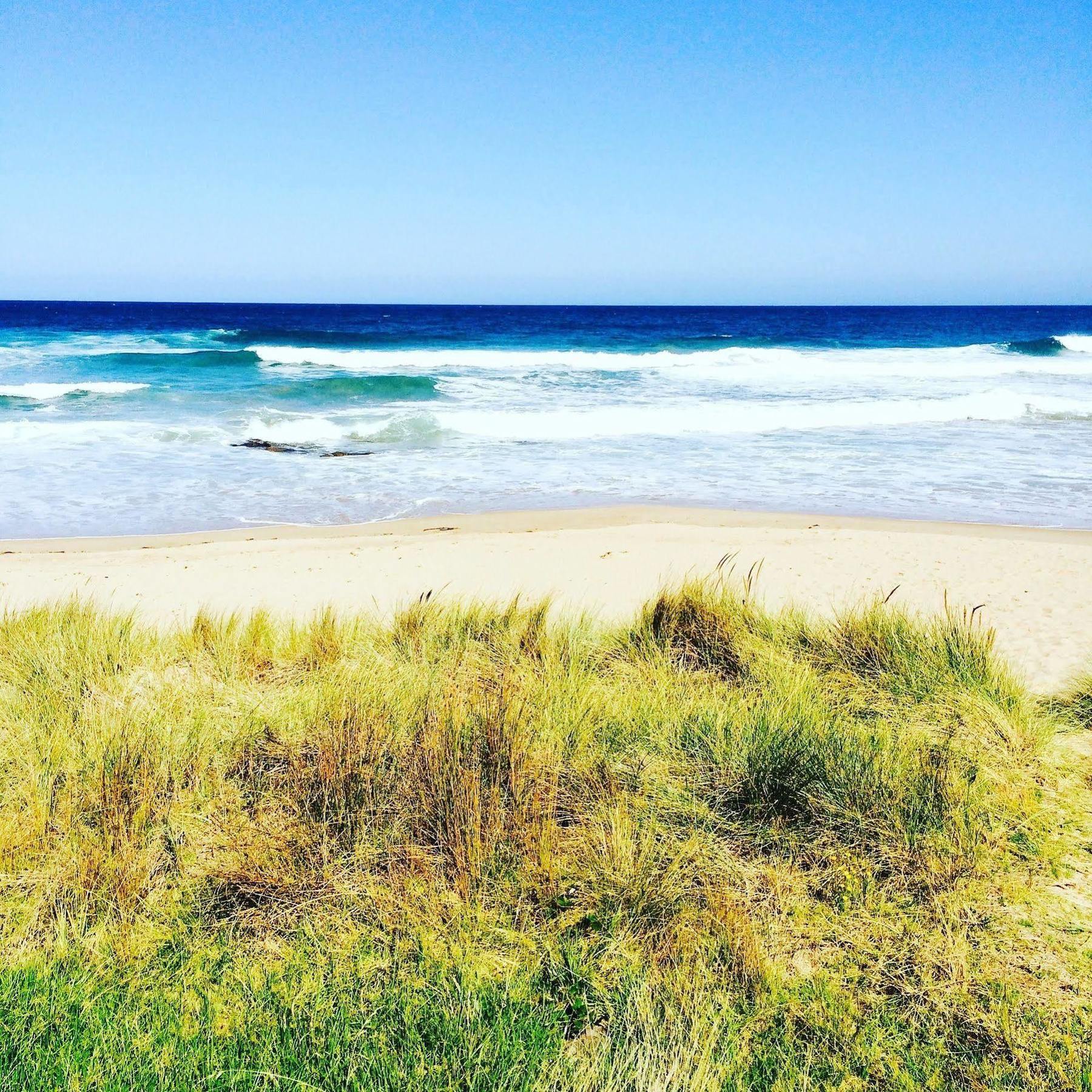 Blue Ocean Motel Apollo Bay Εξωτερικό φωτογραφία